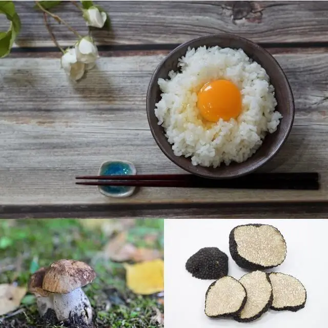 黒トリュフとポルチーニ茸を使用した 香り豊かな卵かけしょうゆ 150g トリュフ醤油 卵かけご飯 卵かけごはん TKG 白しょうゆ 白醤油 トリュフ 伊賀越