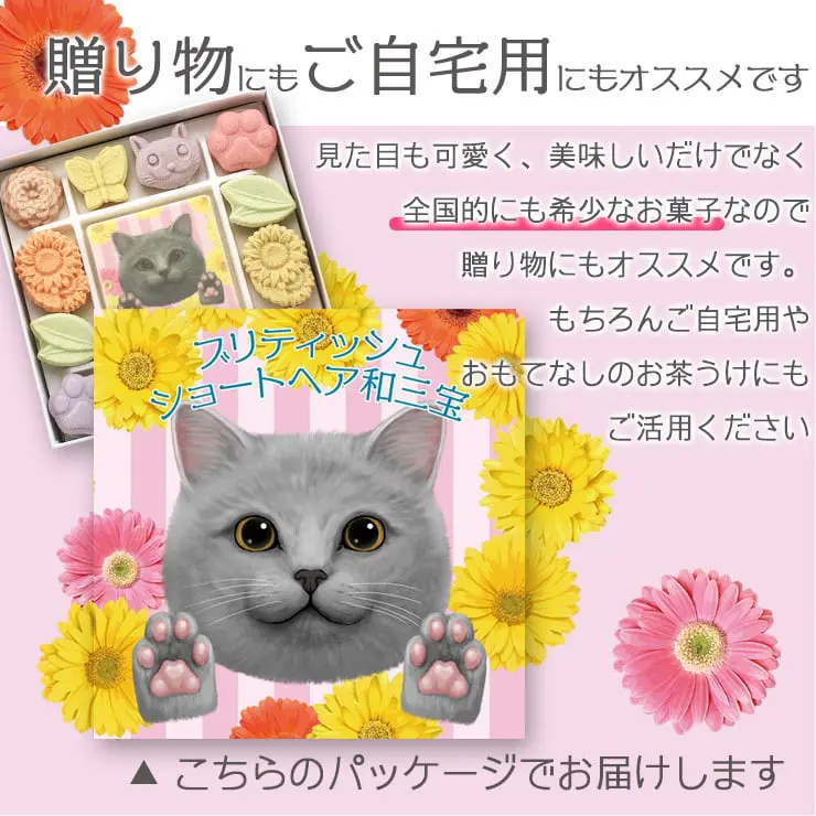 ブリティッシュショートヘア和三宝 和三盆 和三盆糖