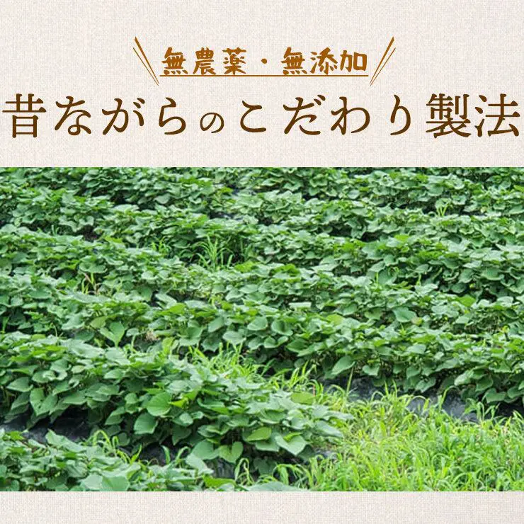 干し芋 干しいも ほし芋 ギフト プレゼント 国産 無添加 送料無料 hosiimo 京都府産 紅はるか べにはるか 切り落とし 芋 スイーツ 130g×3袋 お菓子 和菓子 さつまいも 和スイーツ お取り寄せスイーツ ほしいも