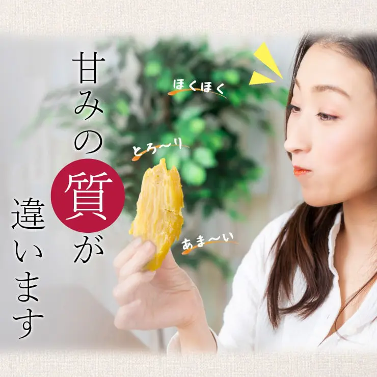 干し芋 干しいも ほし芋 ギフト プレゼント 国産 無添加 送料無料 hosiimo 京都府産 紅はるか べにはるか 切り落とし 芋 スイーツ 130g×3袋 お菓子 和菓子 さつまいも 和スイーツ お取り寄せスイーツ ほしいも