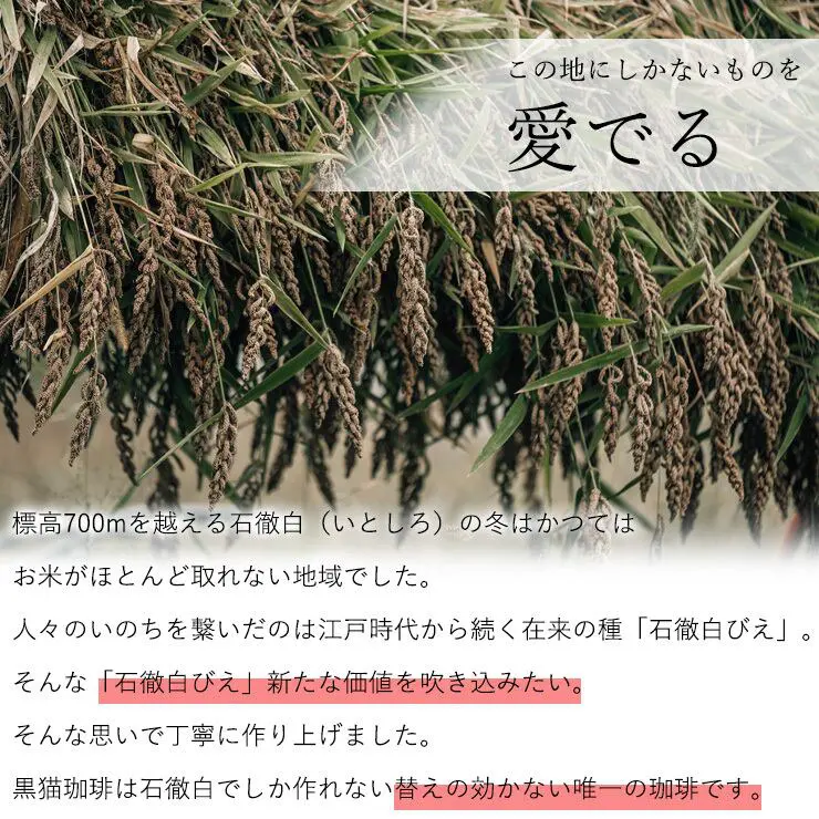 【黒猫ティータイムセット】和三盆 和三盆糖 和三盆菓子 黒猫和三宝 & 黒猫珈琲（4.5g×8包） (2点セット）干菓子 和菓子 猫 ネコ 黒猫 クロネコ くろねこ ねこ 猫好き お茶請け お菓子 大人 お祝い お礼 お返し