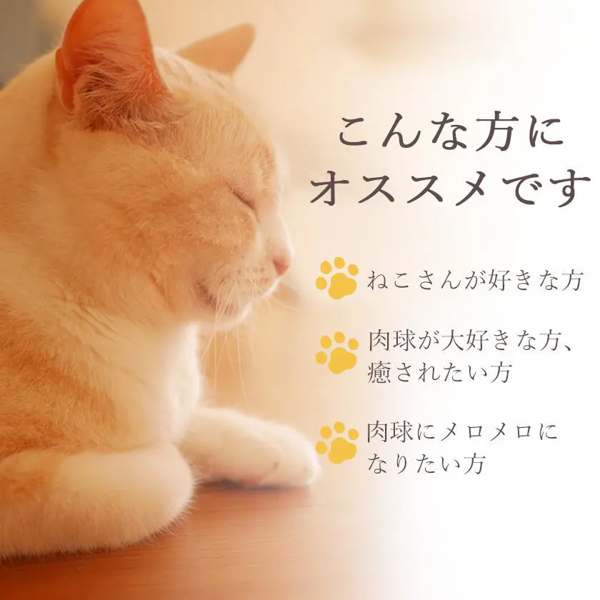 【ねこさんギフト】猫 お菓子 ねこさんクッキー ( 10枚入 ) ミント ＆ ピンク ＆ 猫 お茶 ティーバッグ ねこさんティー (NEKOSAN-TEA) 5種（7点セット）