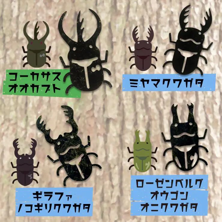 【ネット限定】カブトムシ・クワガタ アートのり 海苔 17種類 ( 切り抜き50枚入 ) 全形2枚分 世界の カブトム シクワガタ 送料無料