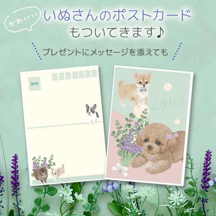 犬 紅茶 ティーバッグ いぬさんティー (INUSAN-TEA) チワワ（ アプリコット紅茶）＆ 柴犬（アップル紅茶）＆ フレンチブルドッグ（ライチ紅茶）＆ ビジョンフリーゼ（白桃紅茶）＆ トイプードル（苺紅茶）＆ ポメラニアン（オレンジ紅茶）(6種セット)
