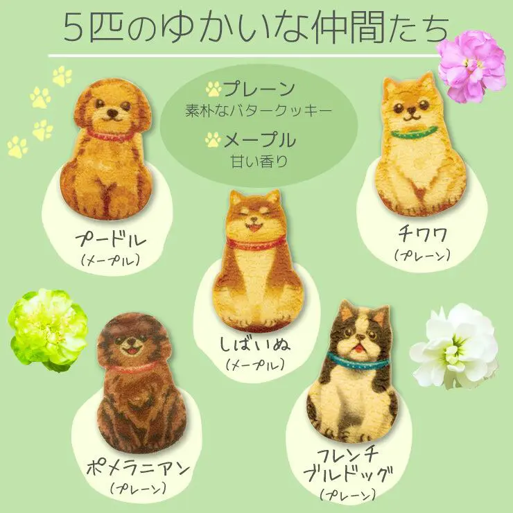 【いぬさんのポストカードつき】犬 お菓子 いぬさんクッキー ( 10枚入 ) グリーン