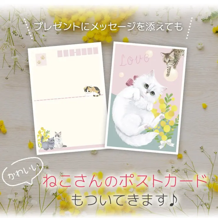 【ねこさんのポストカードつき】ねこさん和三盆 ミント 和三盆糖 さぬき和三盆
