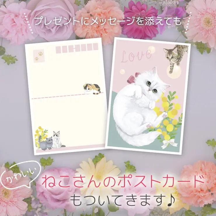 【ねこさんギフト】猫 お菓子 ねこさんクッキー ( 10枚入 ) ミント ＆ ピンク ＆ 猫 お茶 ティーバッグ ねこさんティー (NEKOSAN-TEA) 5種（7点セット）