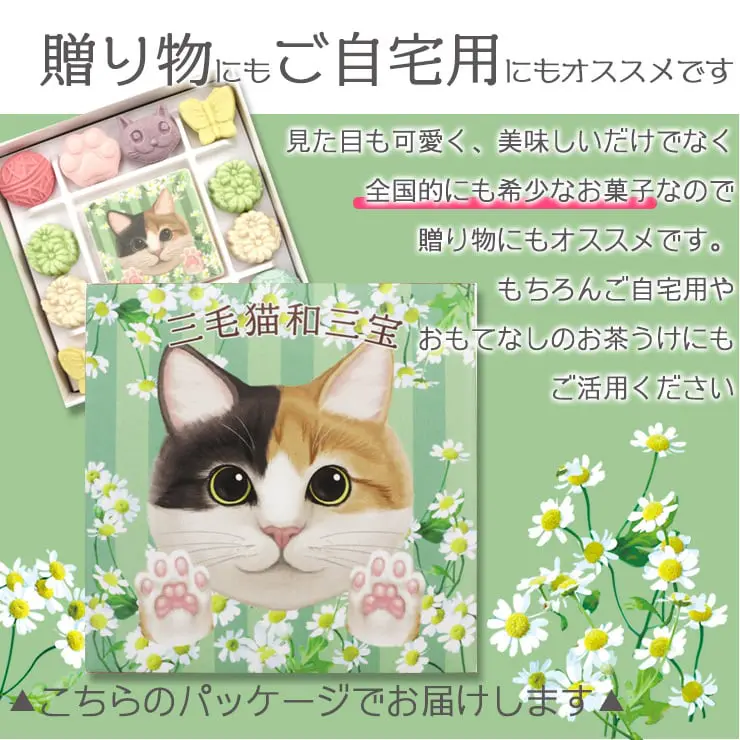 三毛猫和三宝 和三盆 和三盆糖