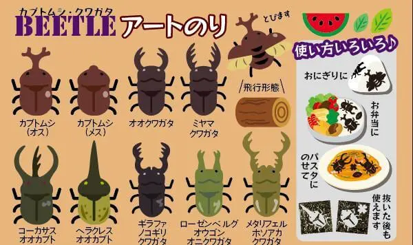 【ネット限定】カブトムシ・クワガタ アートのり 海苔 17種類 ( 切り抜き50枚入 ) 全形2枚分 世界の カブトム シクワガタ 送料無料