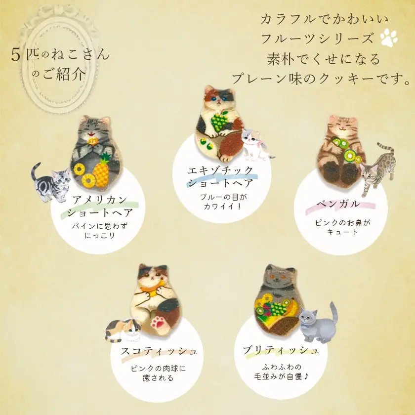 猫 お菓子 クッキー ねこさんクッキー ( 10枚入 ) 個包装 フルーツパッケージVer イエローグリーン