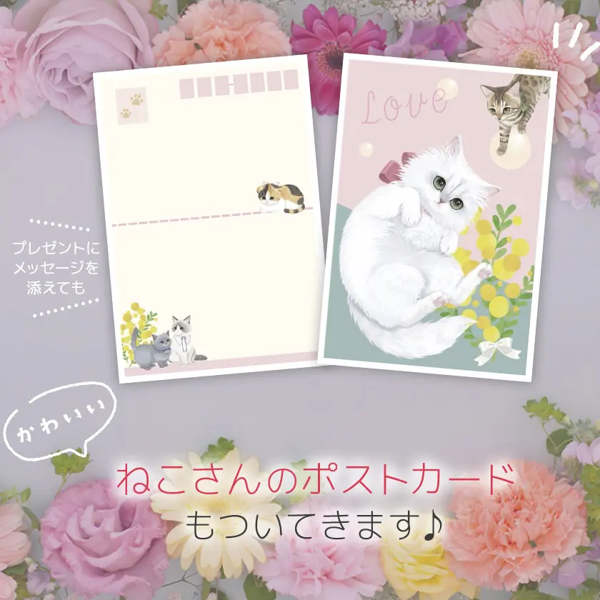 【ねこさんのポストカードつき】ねこさん和三盆 レッド 和三盆糖 さぬき和三盆