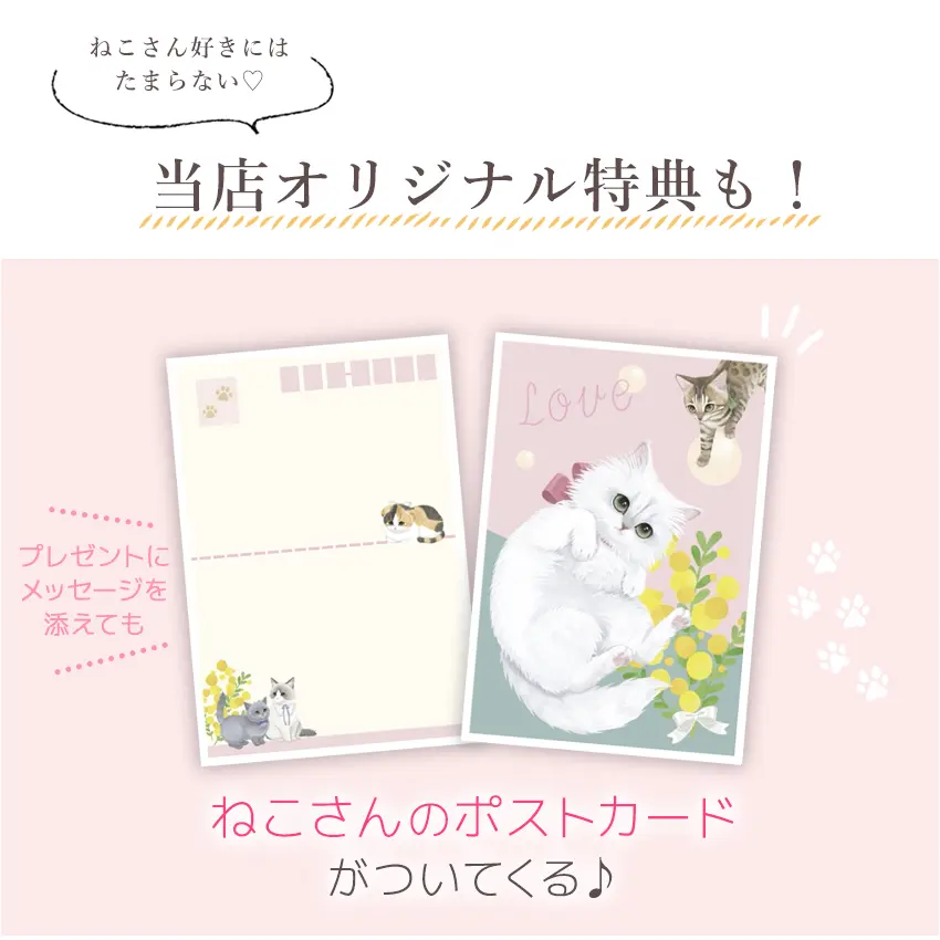 【当店限定 ねこ缶】猫 お菓子 クッキー ねこさんクッキー ( 4枚入 ) 個包装 ミント 猫 ねこ ネコ キャット 三毛猫 ハチワレ 茶縞 黒縞 クロネコ 動物 アニマル かわいい neconeco クッキー お菓子 焼き菓子 詰め合わせ グッズ プレゼント ギフト