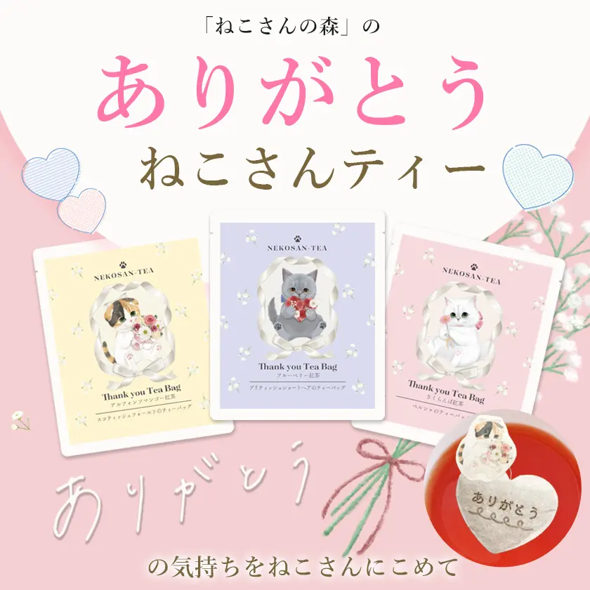 【当店でしか買えません】猫 紅茶 ティーバッグ ありがとうねこさんティー (NEKOSAN-TEA) ペルシャ (さくらんぼ) & ブリティッシュショートヘア (ブルーベリー) & スコティッシュフォールド (アルフォンソマンゴー) (3種 ×2セット)