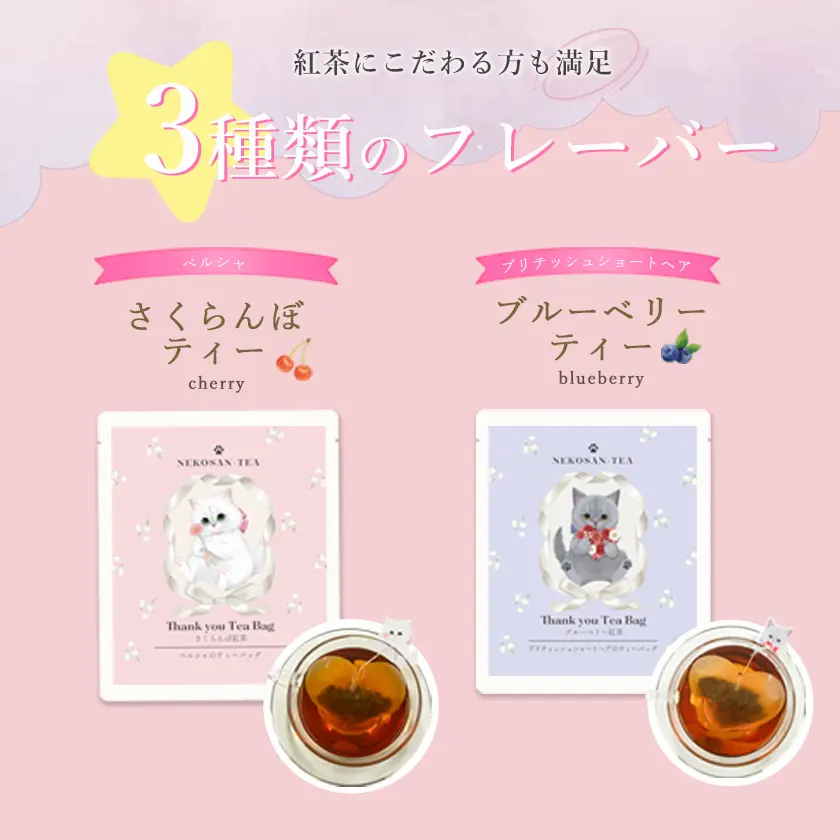 【当店限定 ねこ缶】猫 紅茶 ティーバッグ ありがとうねこさんティー (NEKOSAN-TEA) ペルシャ (さくらんぼ) & ブリティッシュショートヘア (ブルーベリー) & スコティッシュフォールド (アルフォンソマンゴー) (3種×2セット)