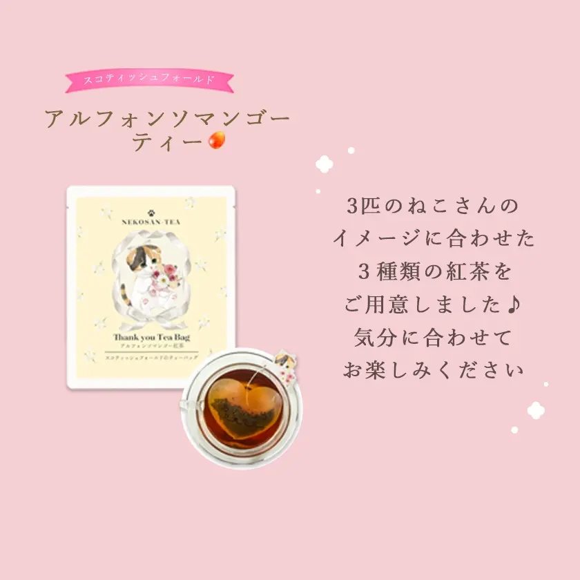 【当店限定 ねこ缶】猫 紅茶 ティーバッグ ありがとうねこさんティー (NEKOSAN-TEA) ペルシャ (さくらんぼ) & ブリティッシュショートヘア (ブルーベリー) & スコティッシュフォールド (アルフォンソマンゴー) (3種×2セット)